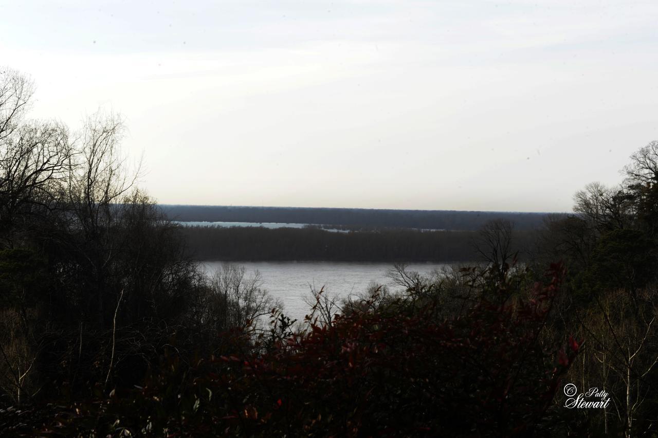 Clermont Bluffs Bed & Breakfast 纳奇兹 外观 照片