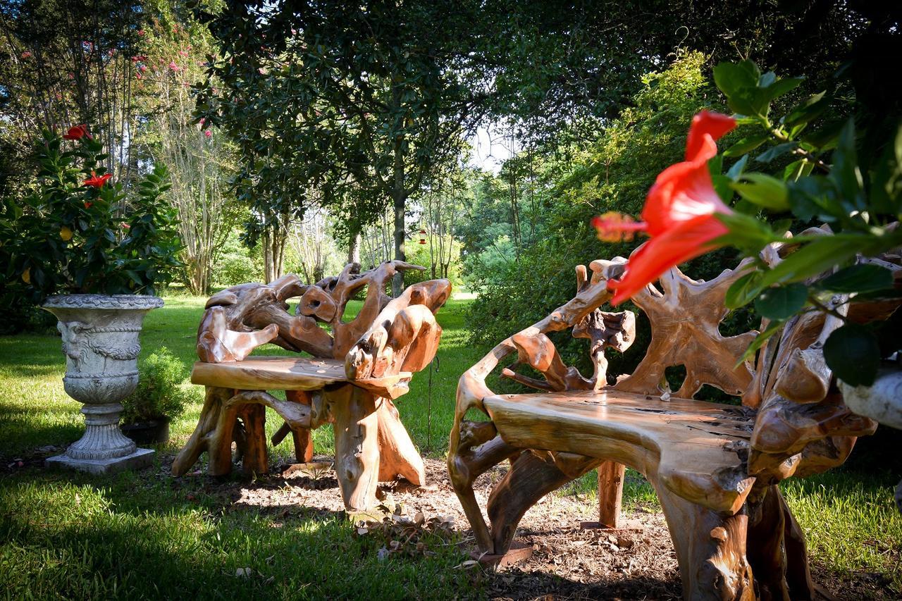 Clermont Bluffs Bed & Breakfast 纳奇兹 外观 照片