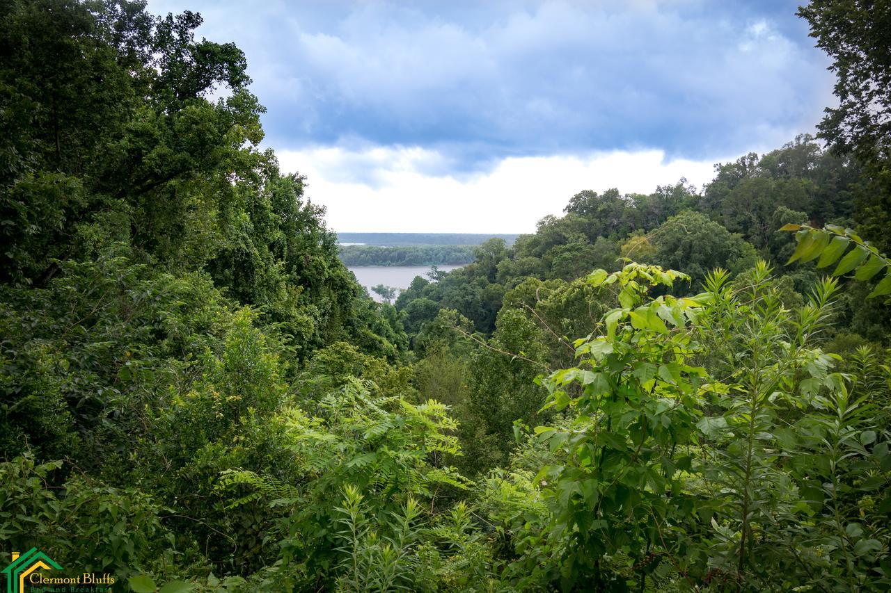 Clermont Bluffs Bed & Breakfast 纳奇兹 外观 照片